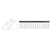 Olympia F1 Pro Carbonio Rock Shox SID SL Select RL 2